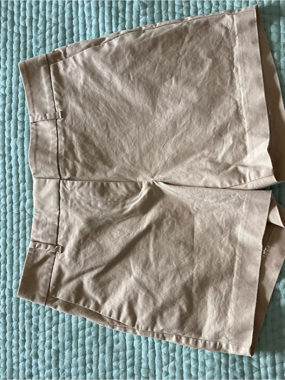 Ann Taylor Beige/Tan Tailored Shorts